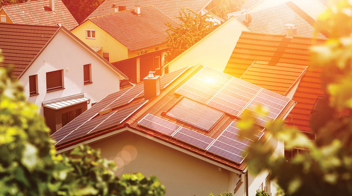 Solar panels on the tiled roof of the building in the sun  Top view through grape leaves  Image for illustration on energy, self-reliance, autonomy and security  Selective focus  Blur