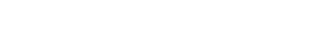 IAEI Section,Chapter and Division Information