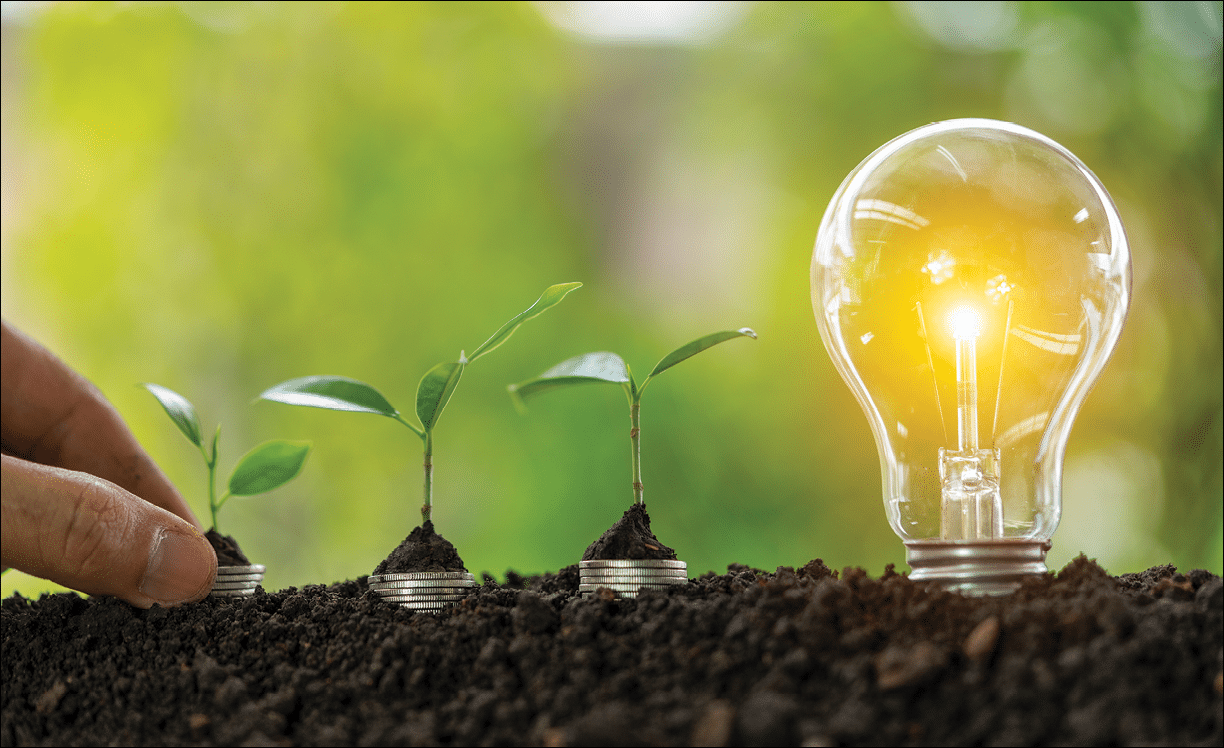 Light bulb  concept,Light bulb and tree,growth concept