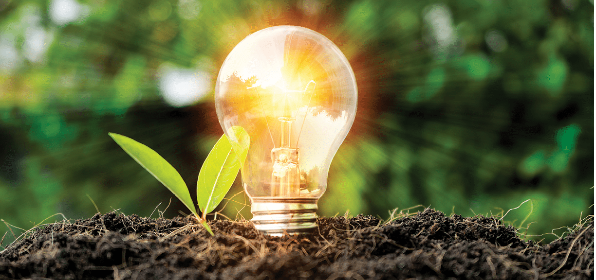 Growth concept  Including learning, education, investment, business sector, technology, innovation  Comparison of bulbs grown in the soil and illuminating the sides, with leaves