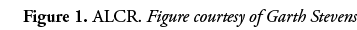 Figure 1  ALCR  Figure courtesy of Garth Stevens