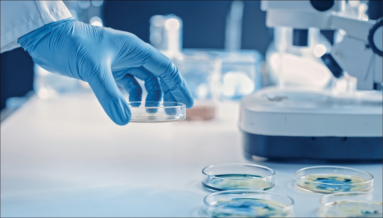 Scientist Works with Petri Dishes with Various Bacteria, Tissue and Blood Samples  Concept of Pharmaceutical Research for Antibiotics, Curing Disease with DNA Enhancing Drugs  Moving Close-up Macro