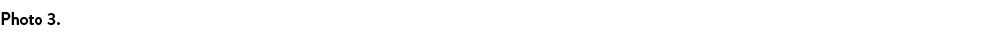 Photo 3. 
