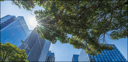 Building Exterior, Built Structure, City, Cityscape,