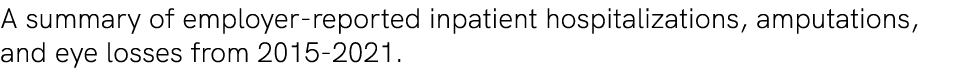 A summary of employer reported inpatient hospitalizations, amputations, and eye losses from 2015 2021.