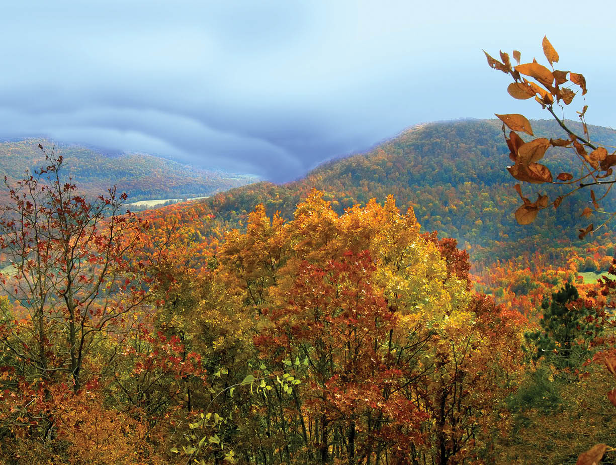 Gold and Orange glows in the autumn leaves of the Ozark Mountains in northern Arkansas. Misty clouds roll over the valley.