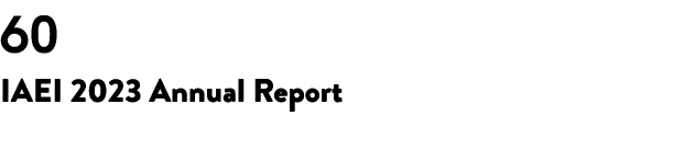 60 IAEI 2023 Annual Report