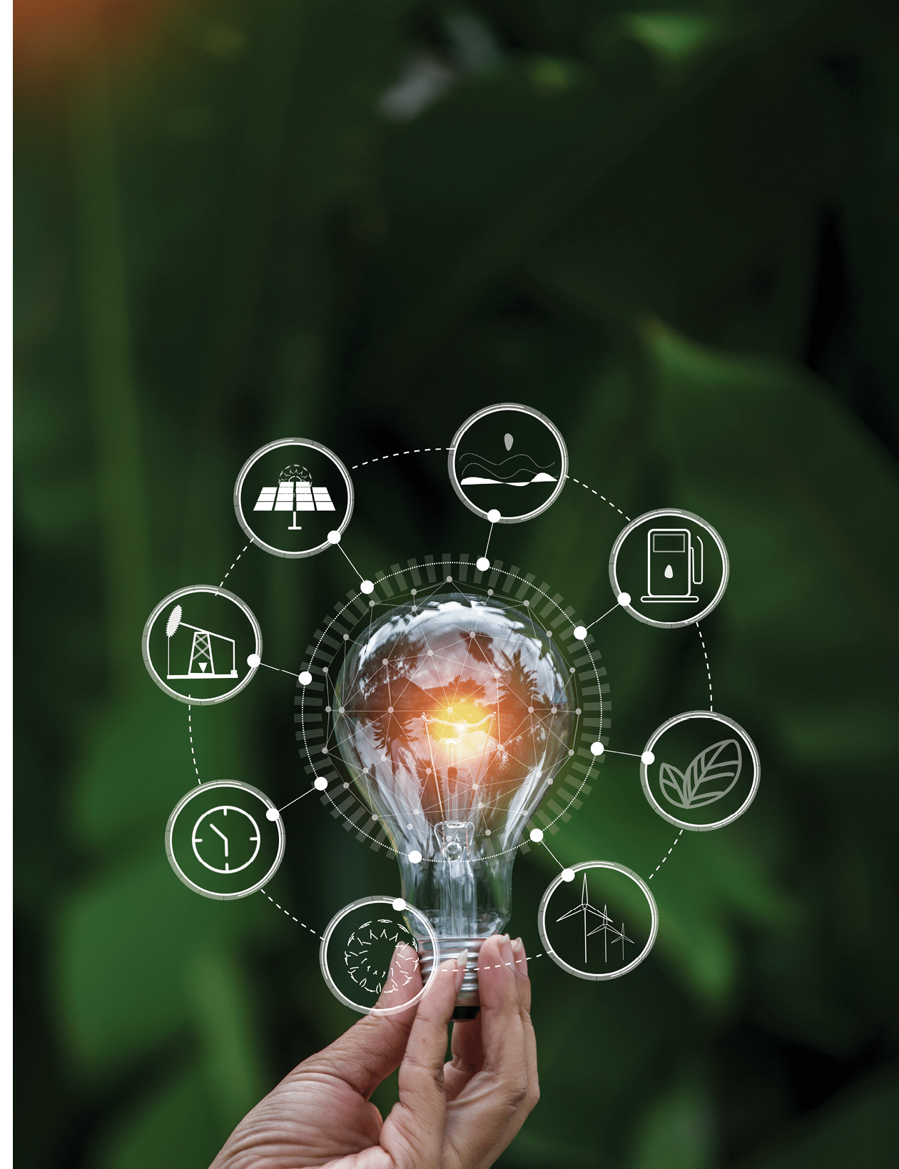 light bulb against nature, icons