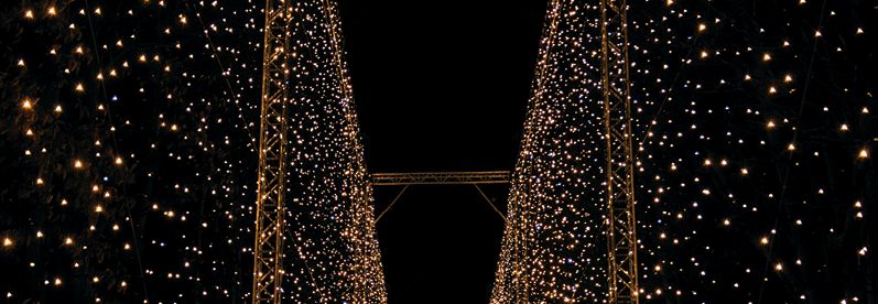 Beautiful Christmas lights decorations on the street in Gdansk. Shiny lights in the Oliwa park at night