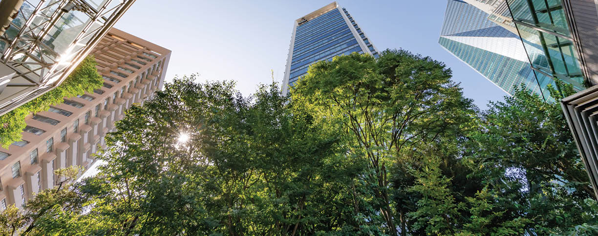 Tokyo cityscape with beautiful morning light