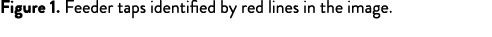 Figure 1. Feeder taps identified by red lines in the image.